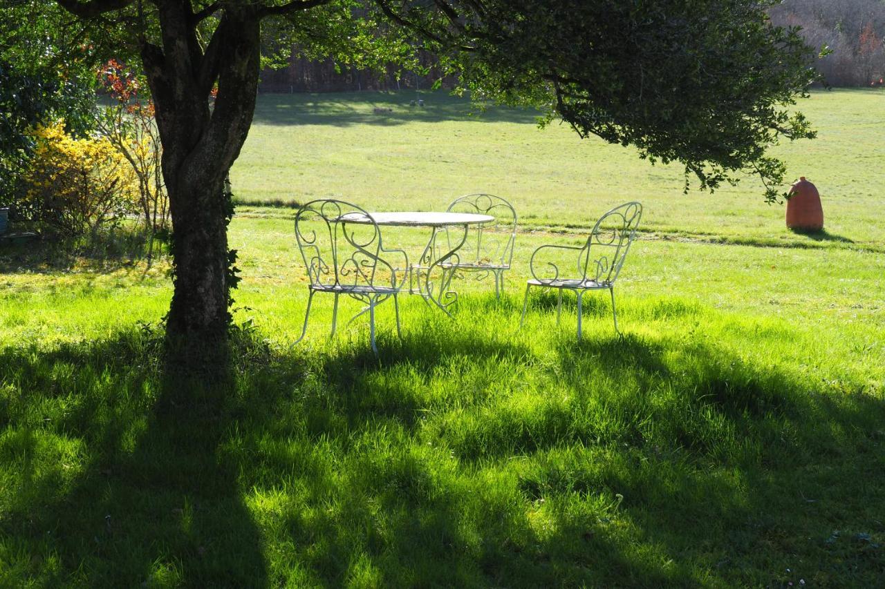 Domaine De La Charmeraie Piscine Chauffee Saint-Cirq  Екстериор снимка